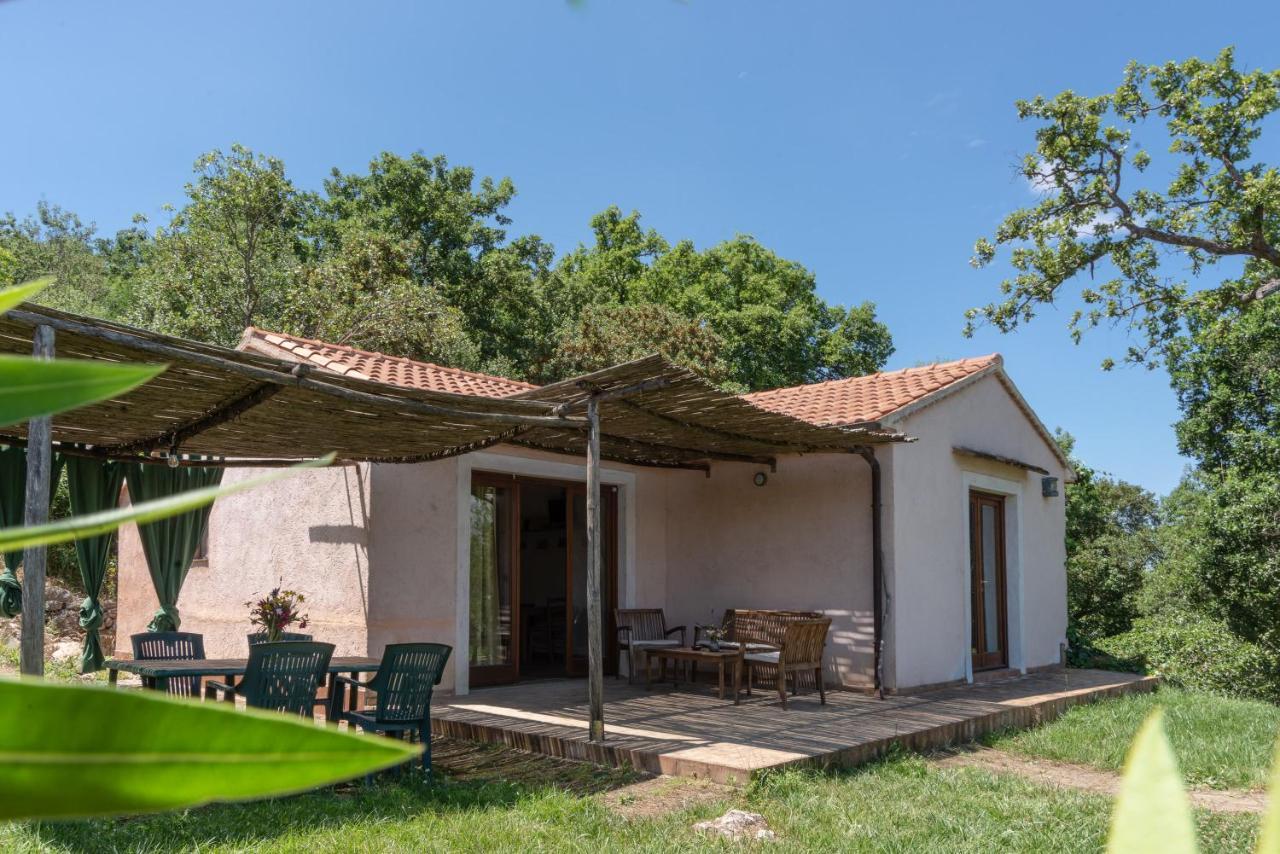 Agriturismo Fontenuova Сатурния Экстерьер фото