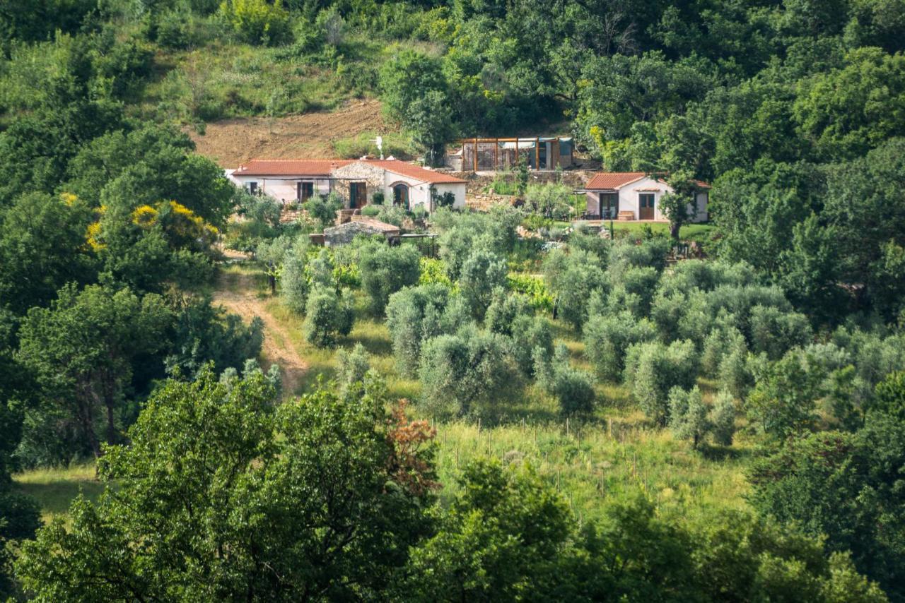 Agriturismo Fontenuova Сатурния Экстерьер фото