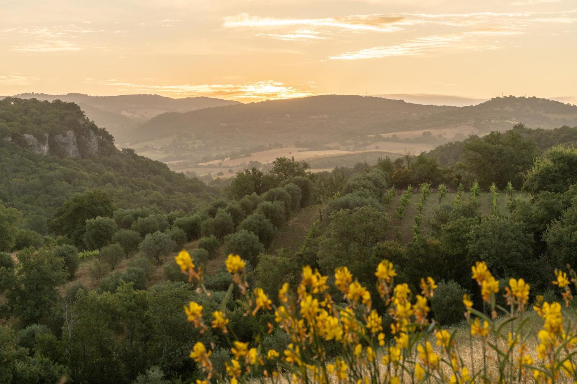 Agriturismo Fontenuova Сатурния Экстерьер фото